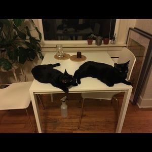 Meet your Posher, Roberta